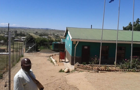 Woodford Primary School | Oliviershoek Consulting